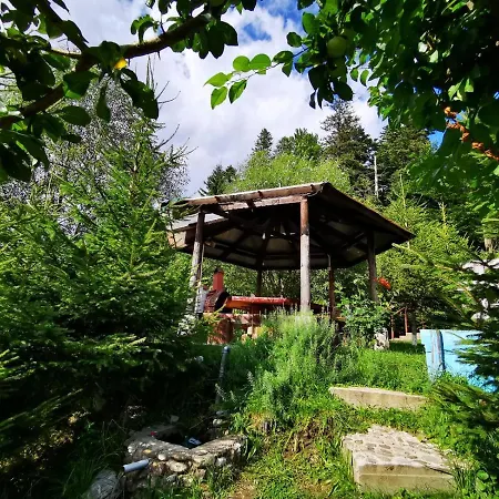 Alunis * Buşteni