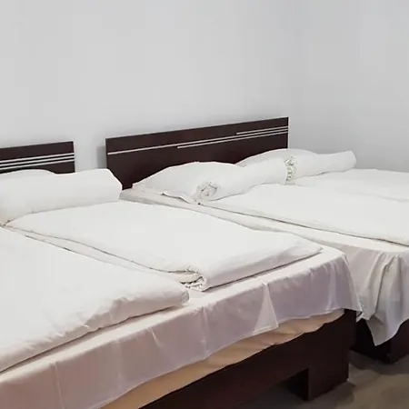 Guest house Alunis Busteni