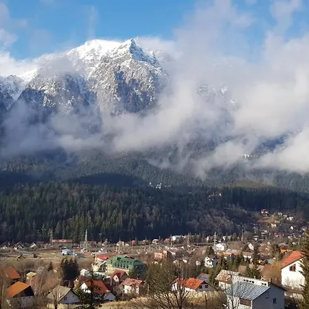 Alunis * Busteni