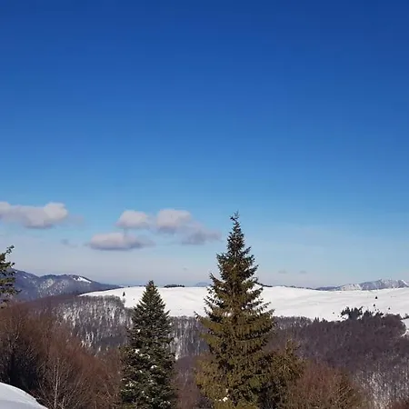Alunis Gasthuis Buşteni