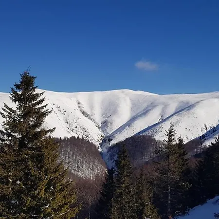 Alunis * Buşteni