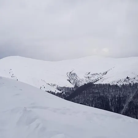 Alunis * Buşteni