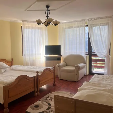 Alunis Guest house Busteni